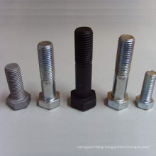 AISI 317 / 317L Stainless Steel Bolts